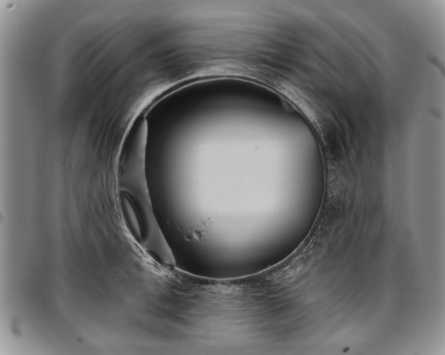 X0000097490996200802291427