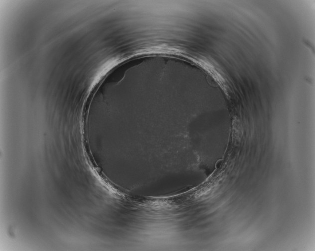 X0000097490998200802291427