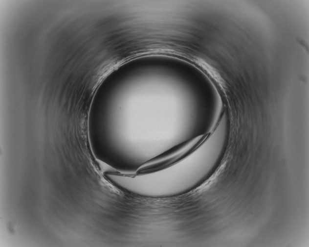 X0000097491001200802291427