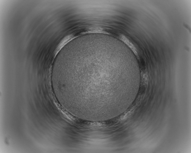 X0000097491002200802291427