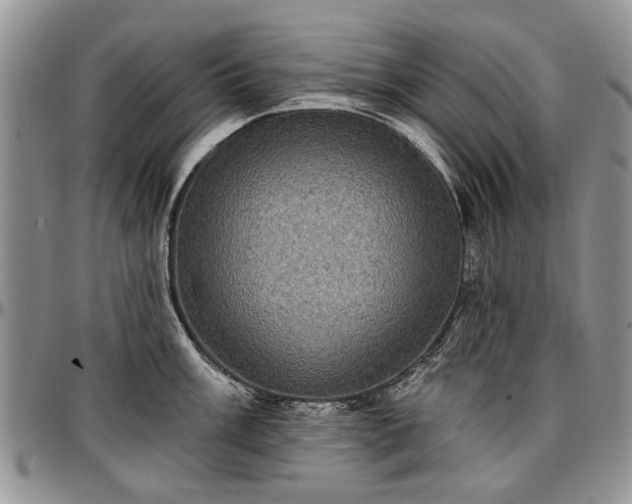 X0000097491003200802291427