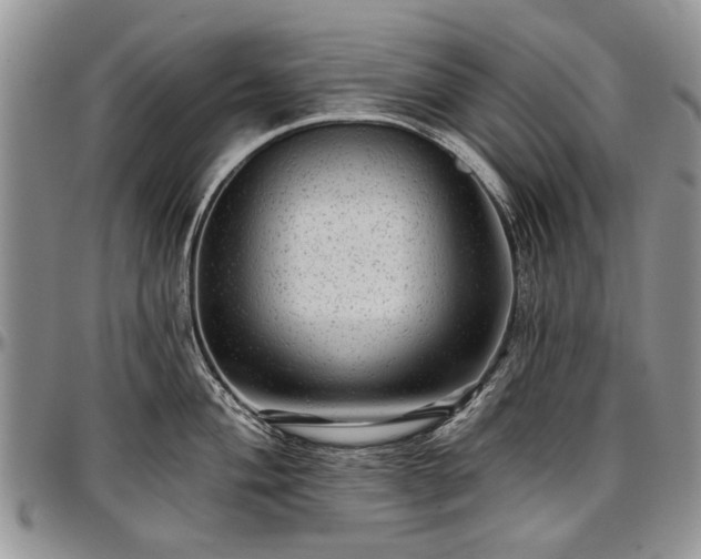 X0000097491004200802291427