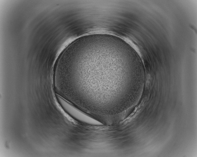 X0000097491005200802291427