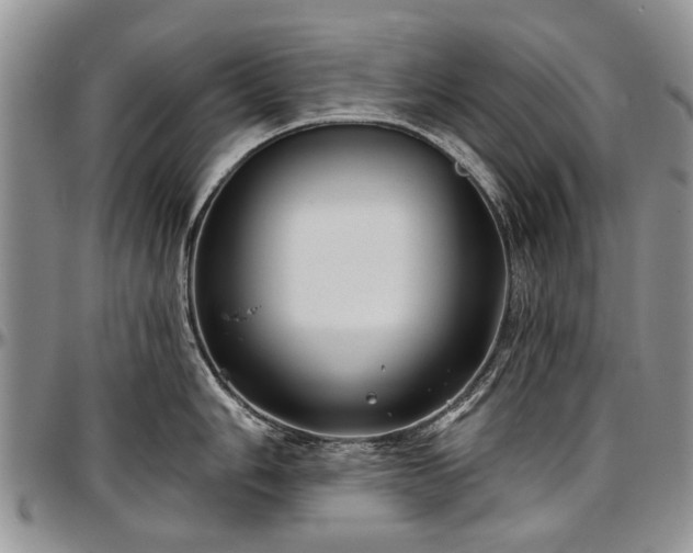 X0000097491006200802291427