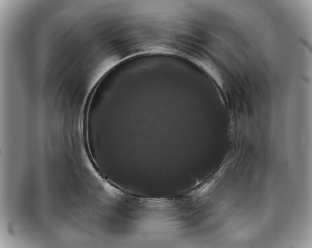 X0000097491007200802291427