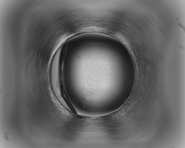 X0000097491008200802291427