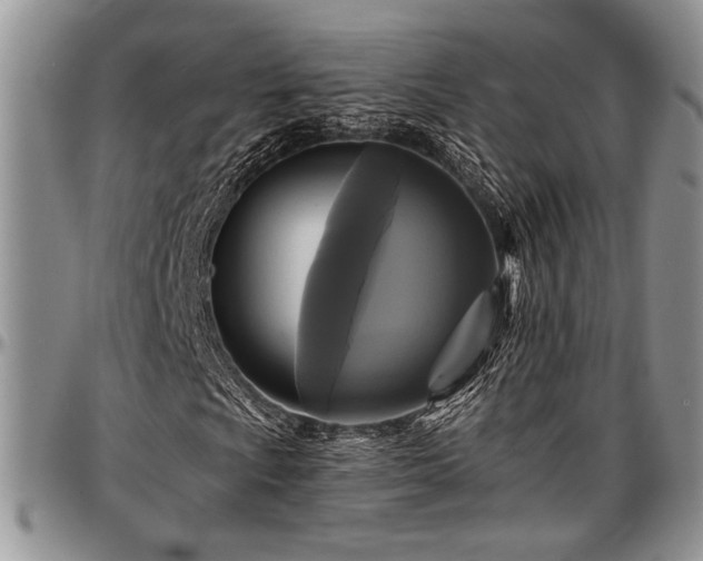 X0000097491009200802291426