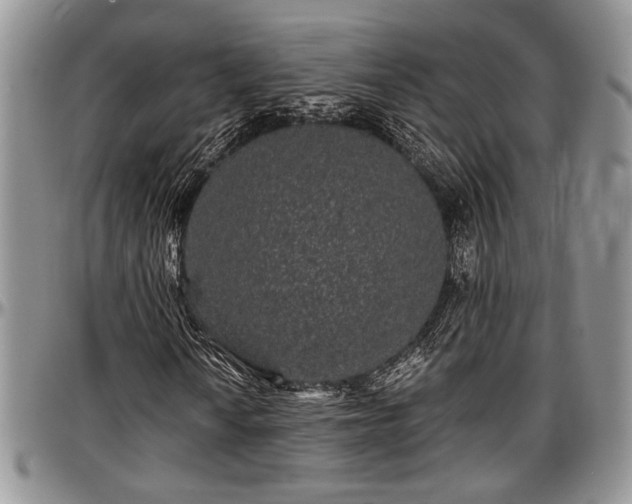 X0000097491010200802291426