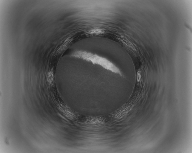 X0000097491011200802291426