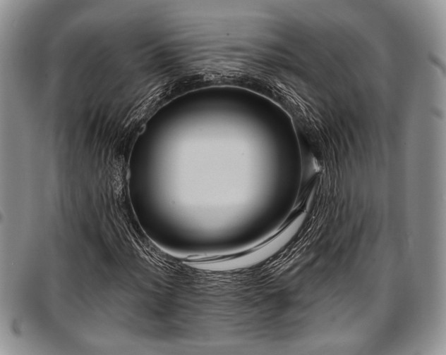 X0000097491012200802291426