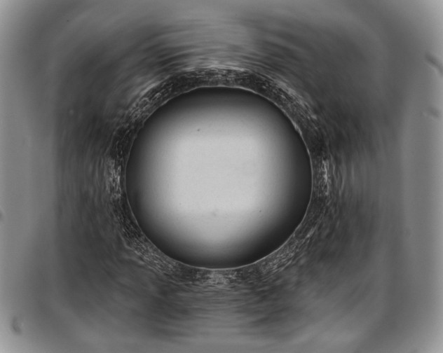 X0000097491013200802291426