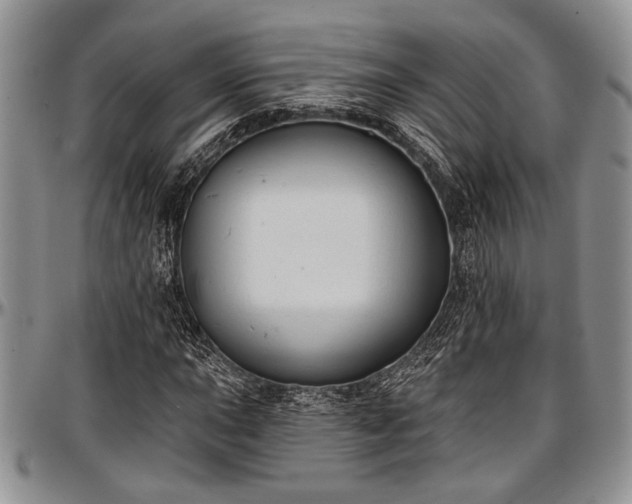 X0000097491015200802291426