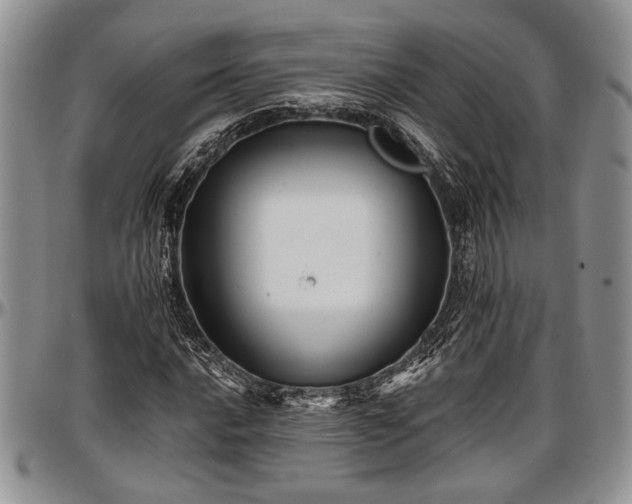 X0000097491016200802291426