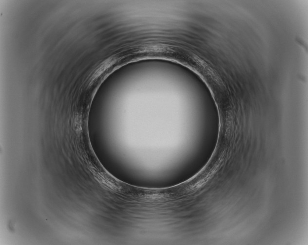 X0000097491017200802291426