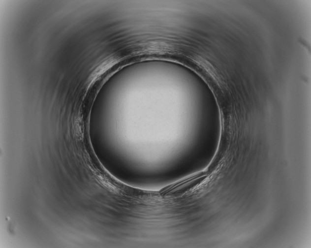 X0000097491018200802291426