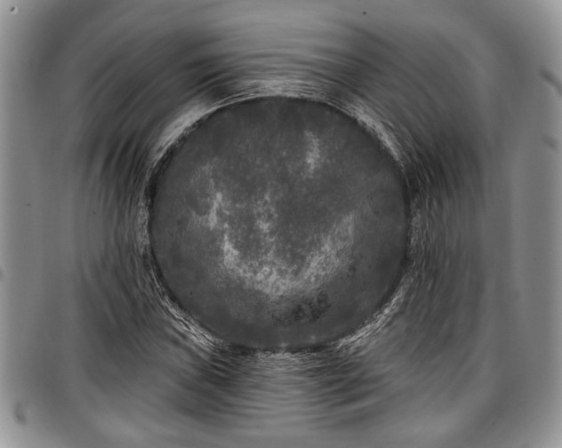 X0000097491019200802291426