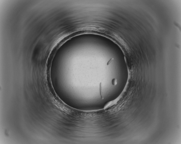 X0000097491020200802291426