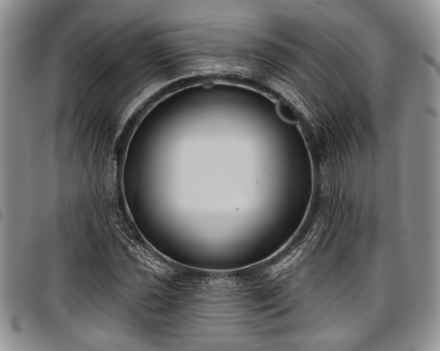 X0000097491021200802291426