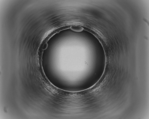 X0000097491022200802291427