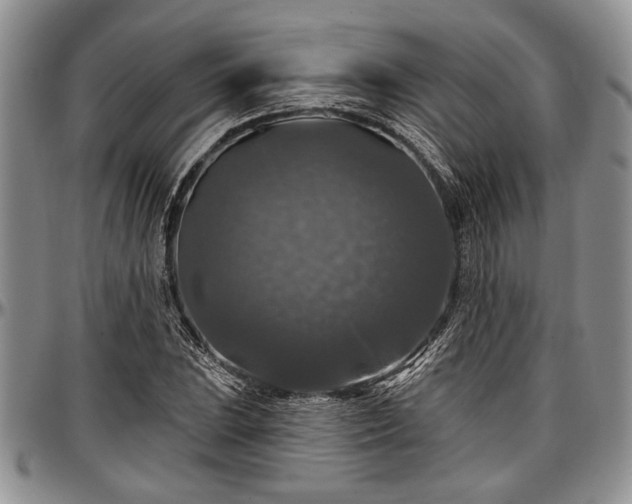 X0000097491023200802291427