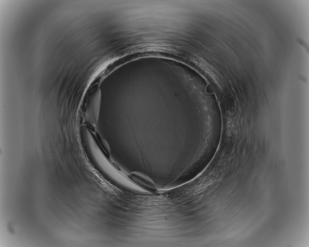 X0000097491024200802291427