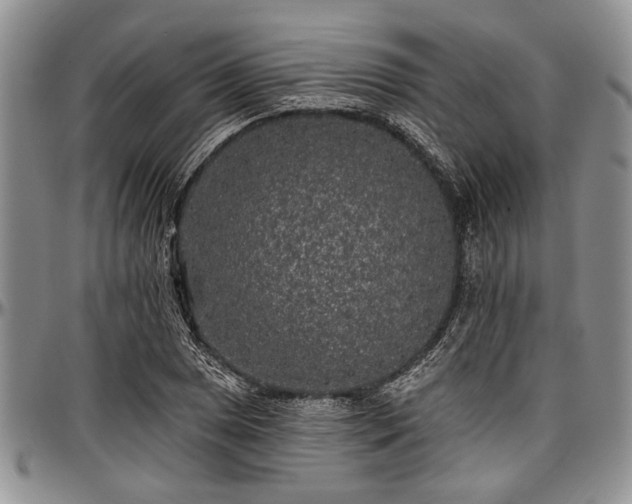 X0000097491025200802291427