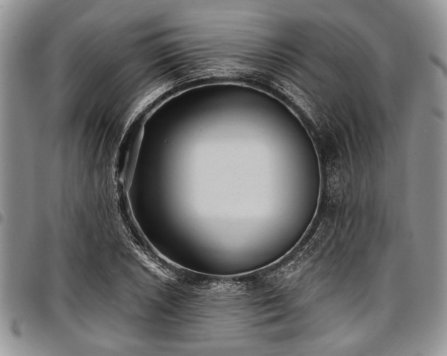 X0000097491026200802291427