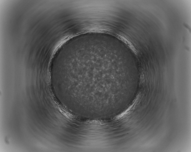 X0000097491027200802291427