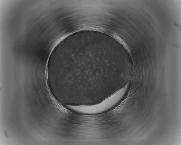 X0000097491028200802291427