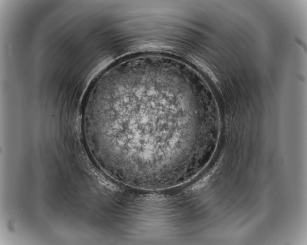X0000097491029200802291427