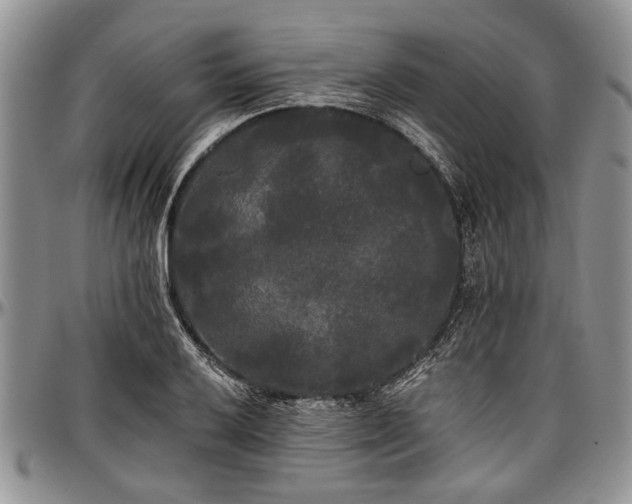 X0000097491032200802291427