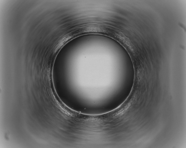 X0000097491033200802291427