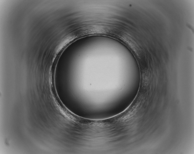 X0000097491034200802291427