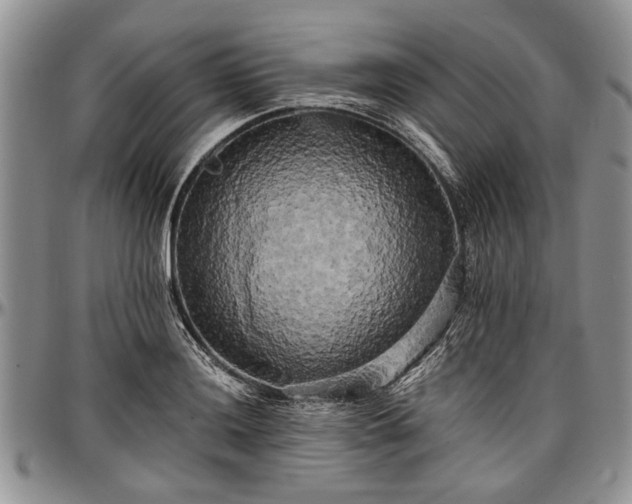 X0000097491036200802291427