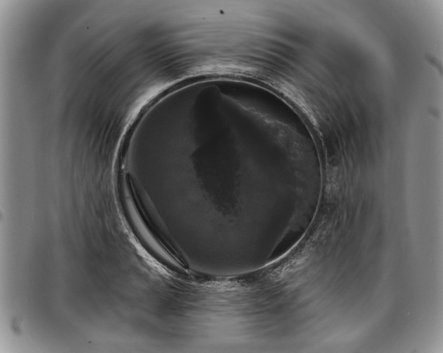 X0000097491037200802291427