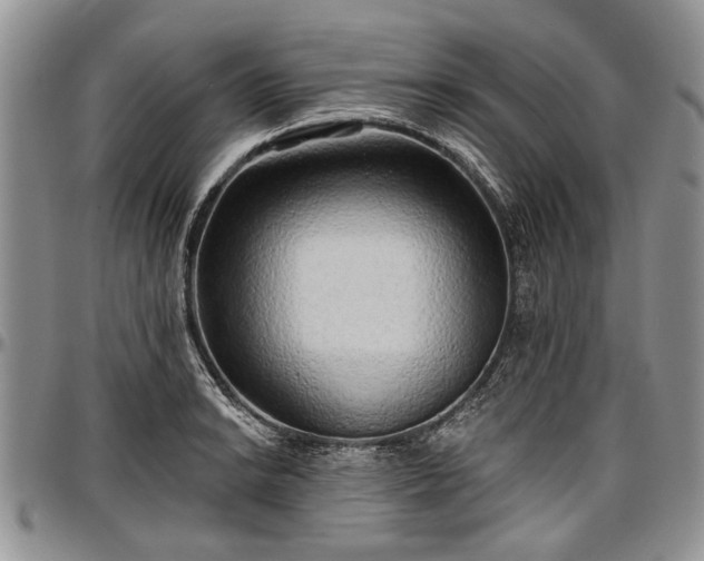 X0000097491038200802291427