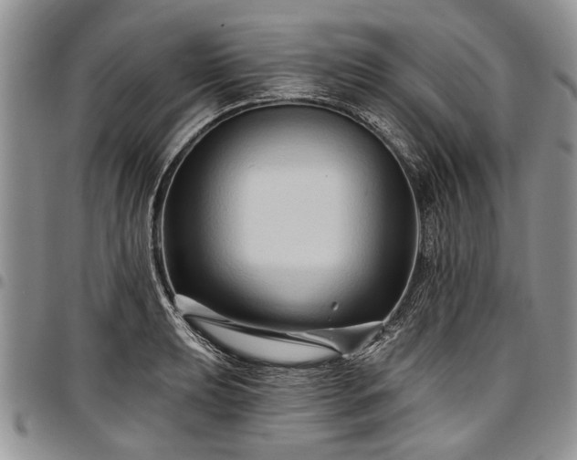 X0000097491039200802291427