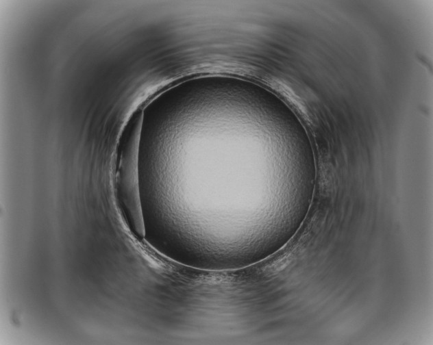 X0000097491040200802291427