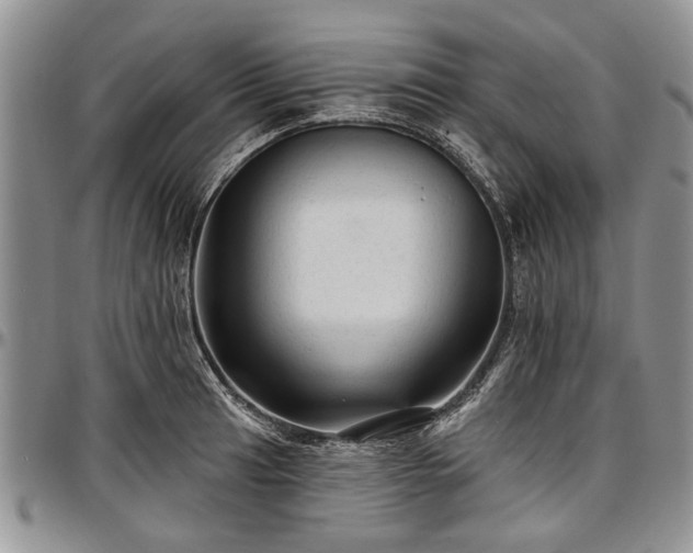 X0000097491041200802291427