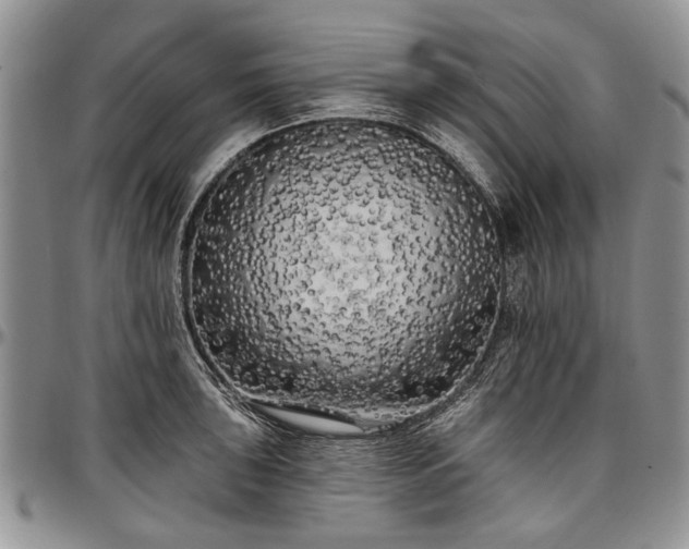 X0000097491043200802291427