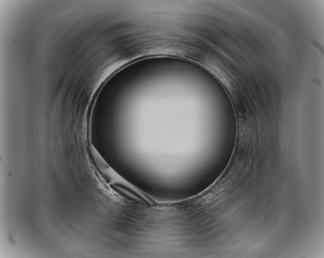 X0000097491044200802291427