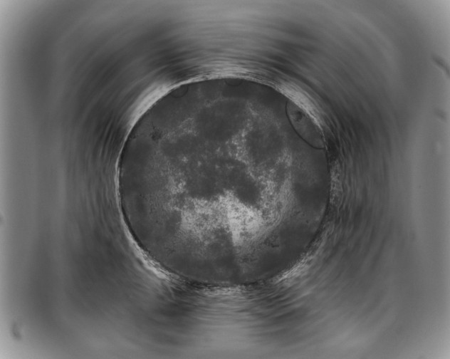 X0000097491047200802291427