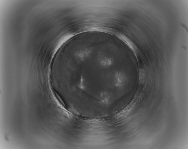 X0000097491048200802291427