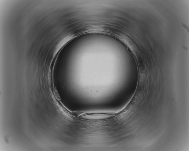 X0000097491050200802291427