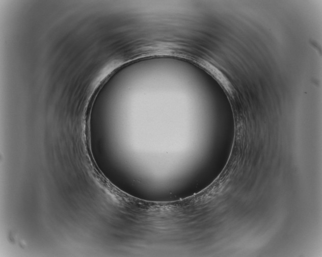 X0000097491051200802291427