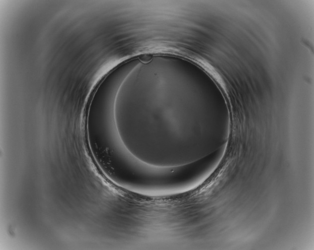 X0000097491053200802291427