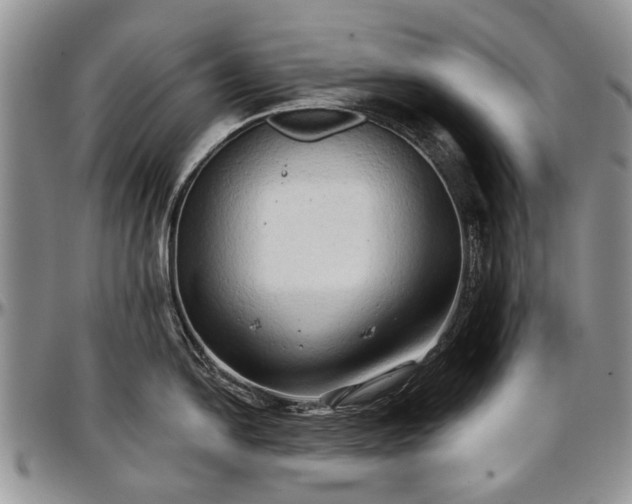 X0000097491054200802291427