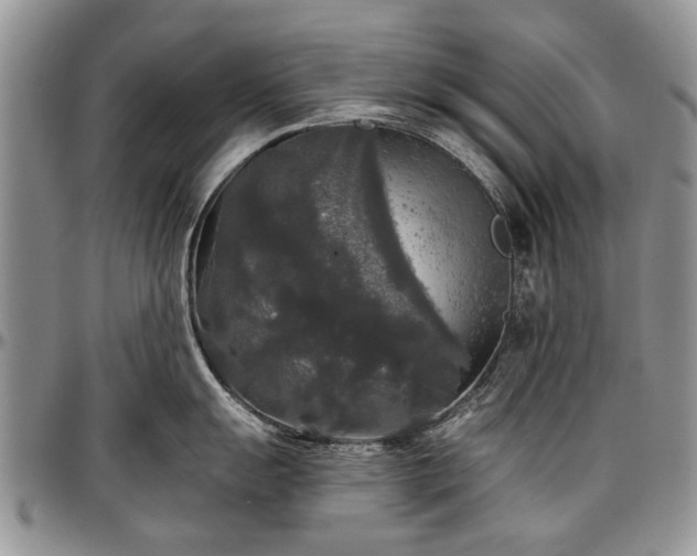 X0000097491055200802291427