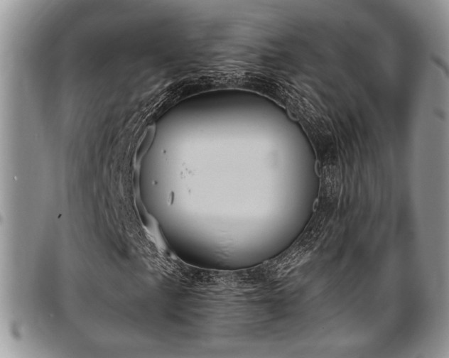 X0000097491057200802291426