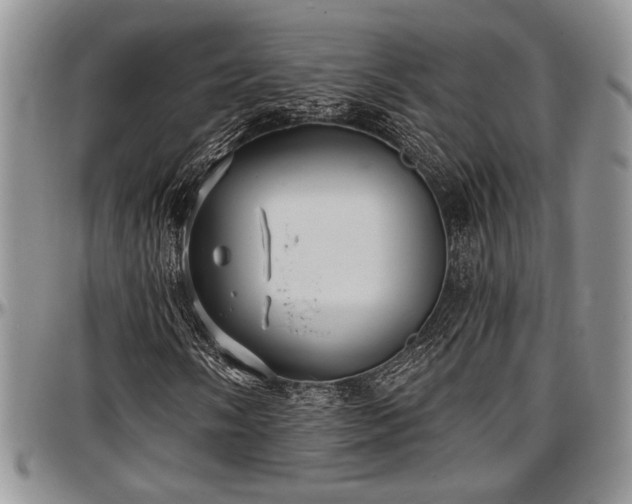 X0000097491058200802291426